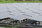 320Wモノラル太陽電池パネルの魚のいる池の住宅の太陽エネルギー システム厚い緩和されたガラス3.2 Mmの
